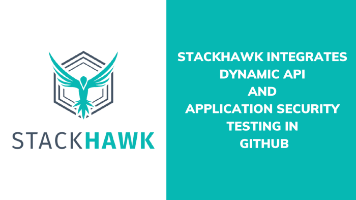 Stackhawk dynamic app testing