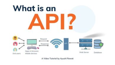 The problem with apis