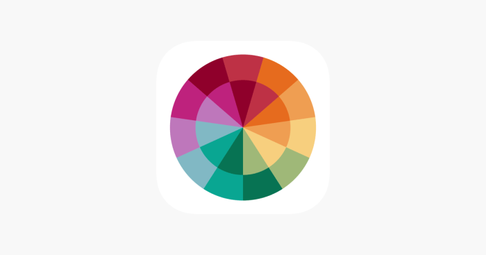 Announcing our new app a color story