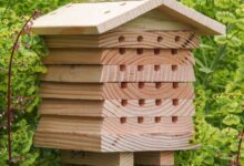 Modern mason bee house diy