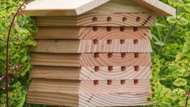 Modern mason bee house diy