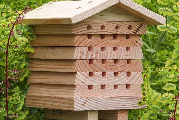 Modern mason bee house diy