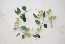 How to make eucalyptus hair wreaths