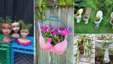 10 unique planters you can make at home