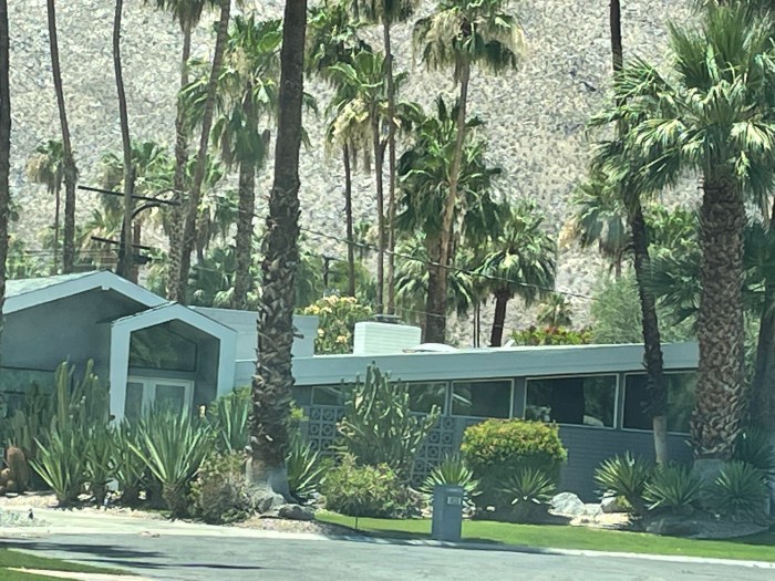 Palm canyon resort springs