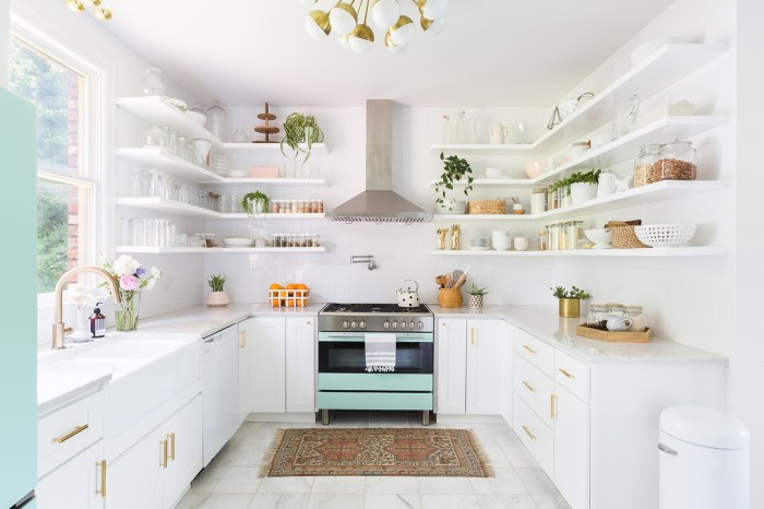 How i recolored my kitchen appliances