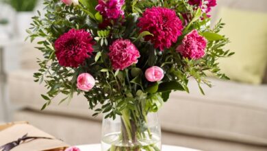Letterbox flowers delivered fresh blooms straight to your door