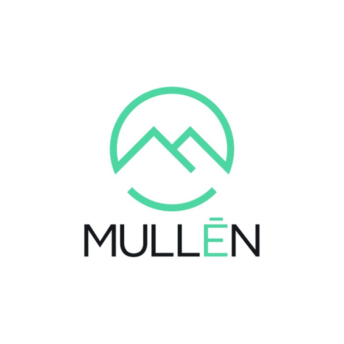 Mullen ceo provides video update to shareholders