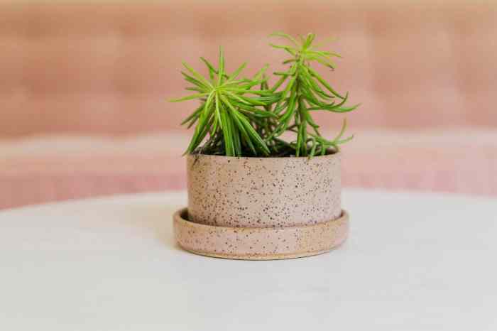 Messes beautiful Messes beautiful