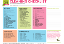 Everything you need to deep clean and organize your house