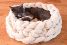 Make your own knit cat bed