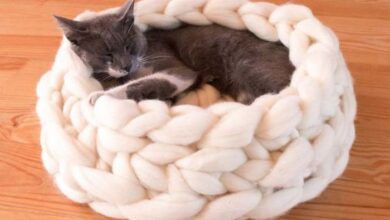 Make your own knit cat bed