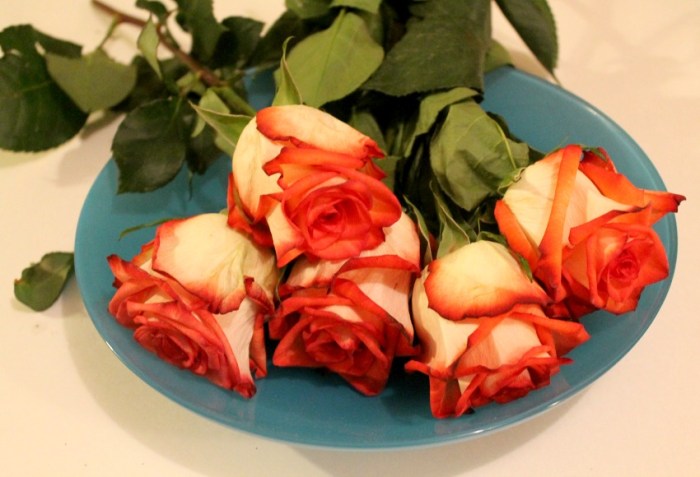 Make your own rose water face mist