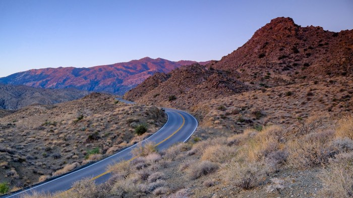 A trip to palm springs with canon