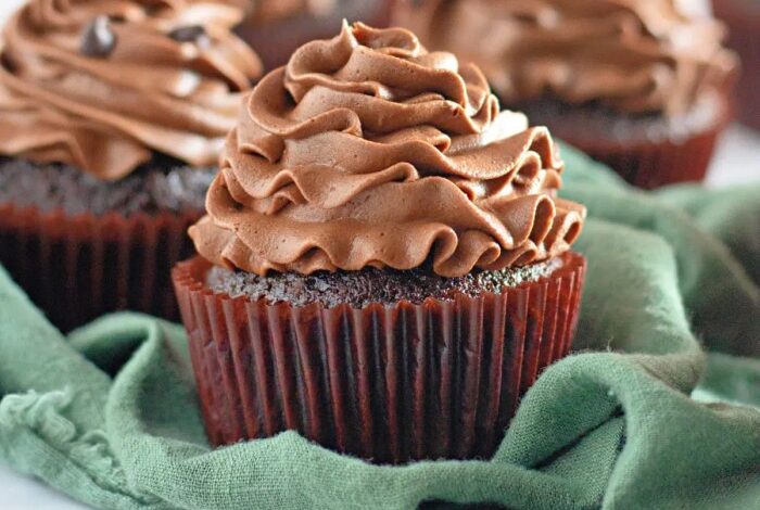 Double chocolate mountain cupcakes