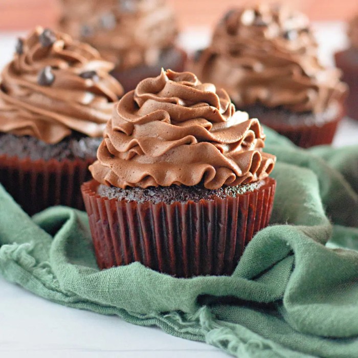 Double chocolate mountain cupcakes