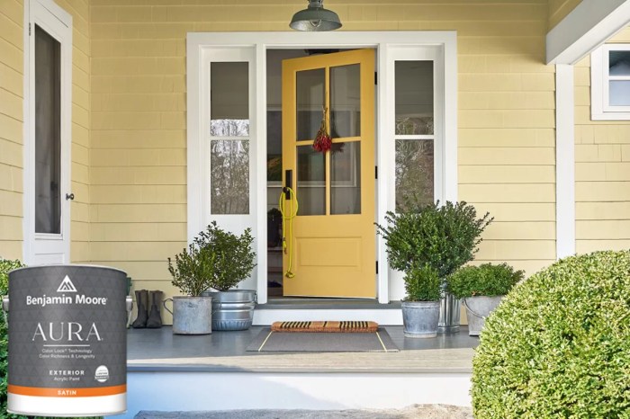 Tips for painting your front door