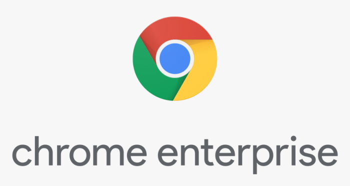 Google chrome enteprise connectors framework