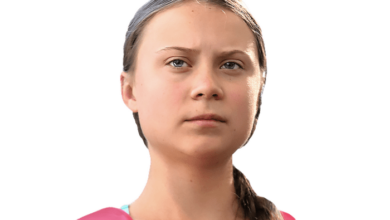 Artnet news does this photo prove greta thunberg knows magic