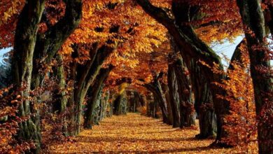 Sister style autumn vibes already