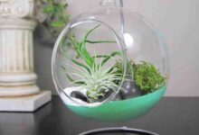 Hanging terrarium wall diy