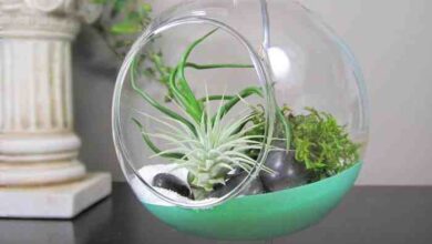 Hanging terrarium wall diy