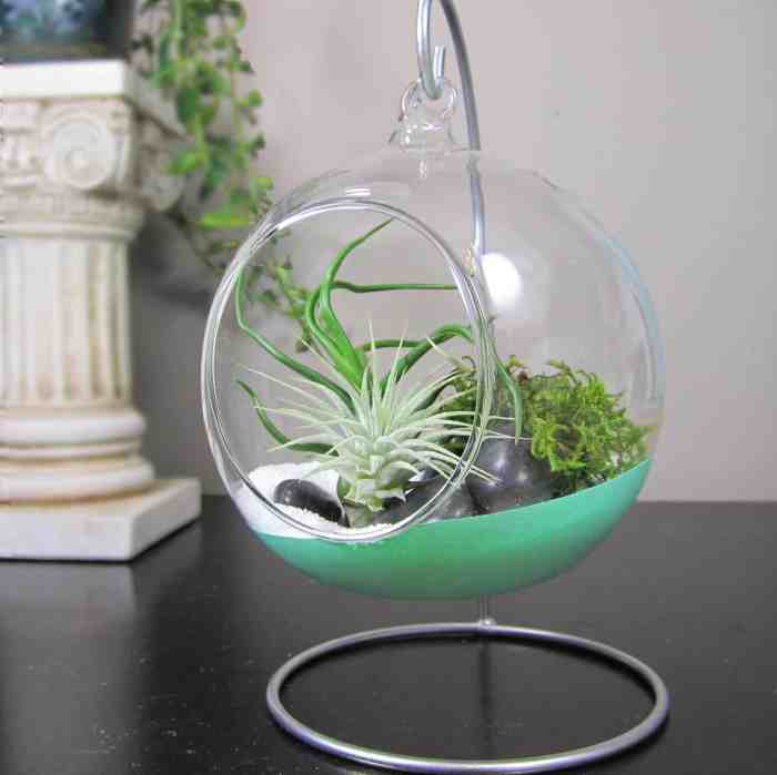 Hanging terrarium wall diy