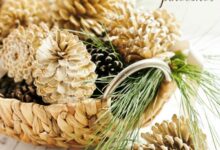 How to bleach pinecones