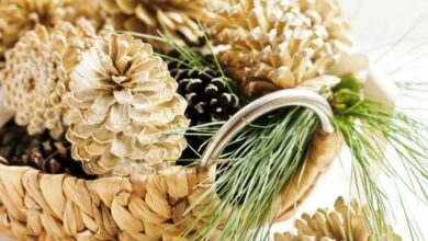 How to bleach pinecones