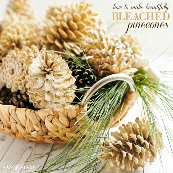 How to bleach pinecones