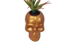 Try this skull succulent planter