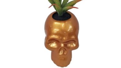 Try this skull succulent planter