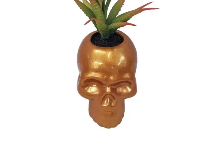 Try this skull succulent planter