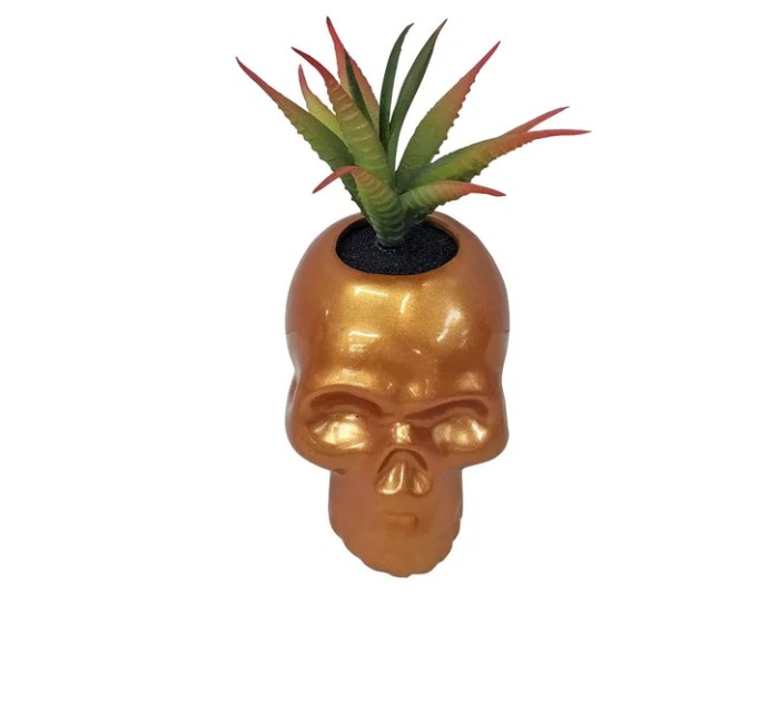 Try this skull succulent planter