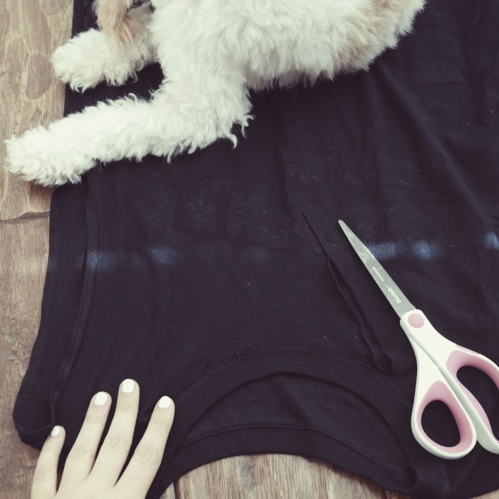 Easy choker t shirt diy