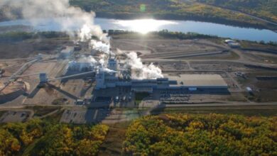 Mercer announces downtime at its peace river mill