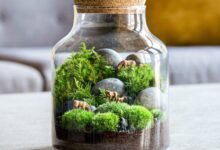 Terrarium side table diy