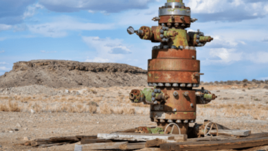 Zefiro methane corp announces year end earnings report provides corporate activities update