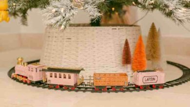 Our christmas tree train