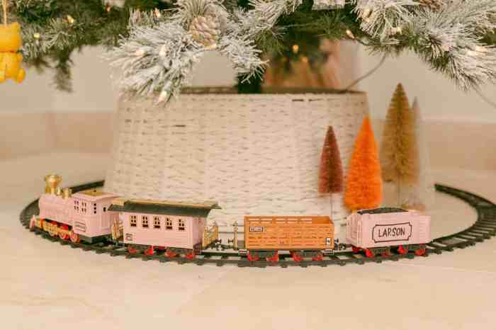Our christmas tree train