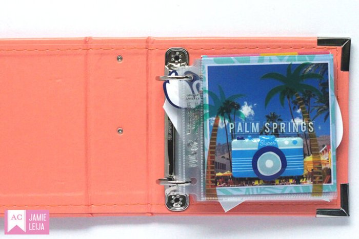 Lauras palm springs mini album