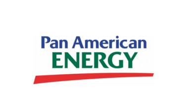 Pan american energy announces board and management changes