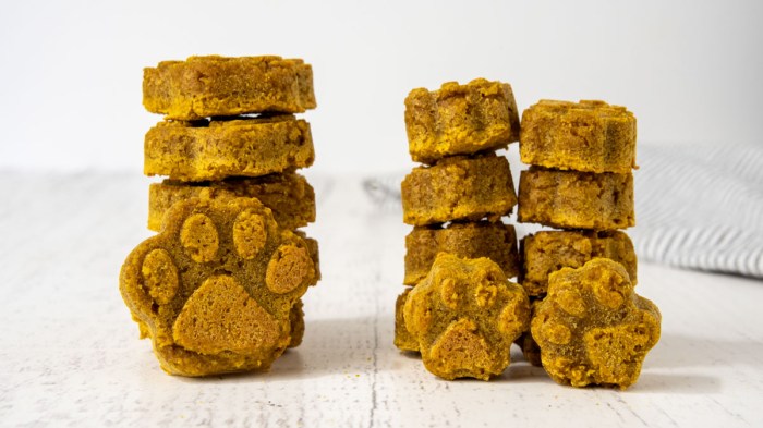 Peanut butter and pumpkin dog treats