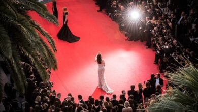 The schedule of screenings with red carpet cannes film festival