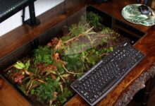 Make a terrarium desk organizer