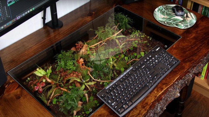 Make a terrarium desk organizer