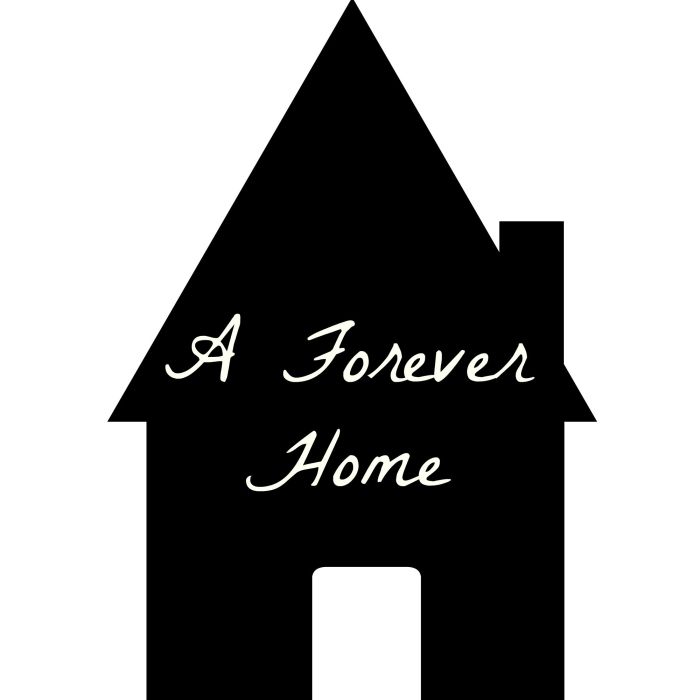 What does a forever home mean to you