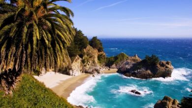 Our trip to big sur ca