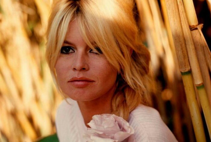 Brigitte bardot headband hair