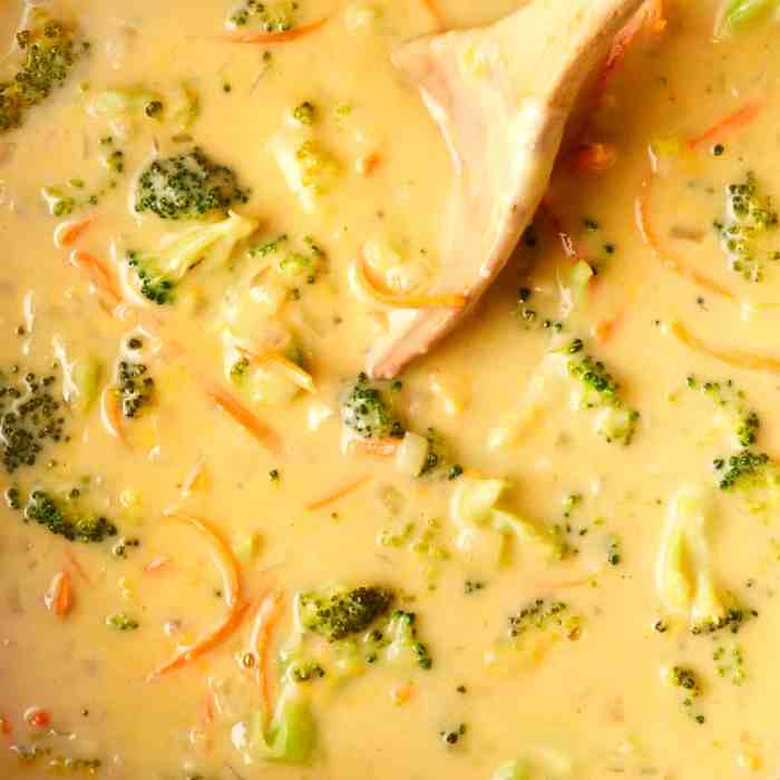 Five vegetable cheddar soup